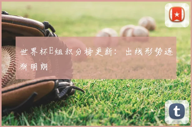 世界杯E组积分榜更新：出线形势逐渐明朗