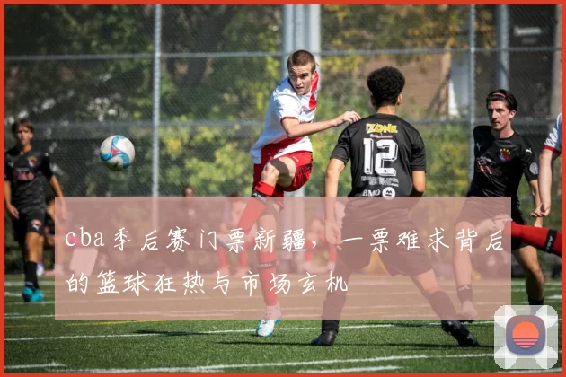 cba季后赛门票新疆，一票难求背后的篮球狂热与市场玄机