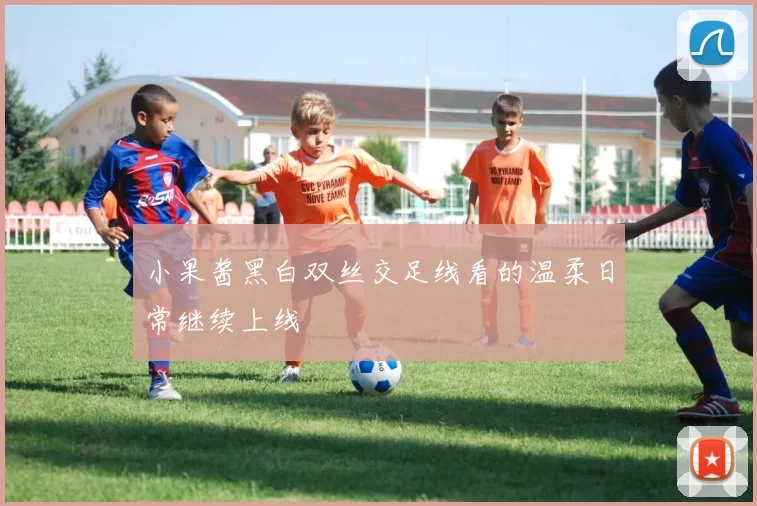 小果酱黑白双丝交足线看的温柔日常继续上线