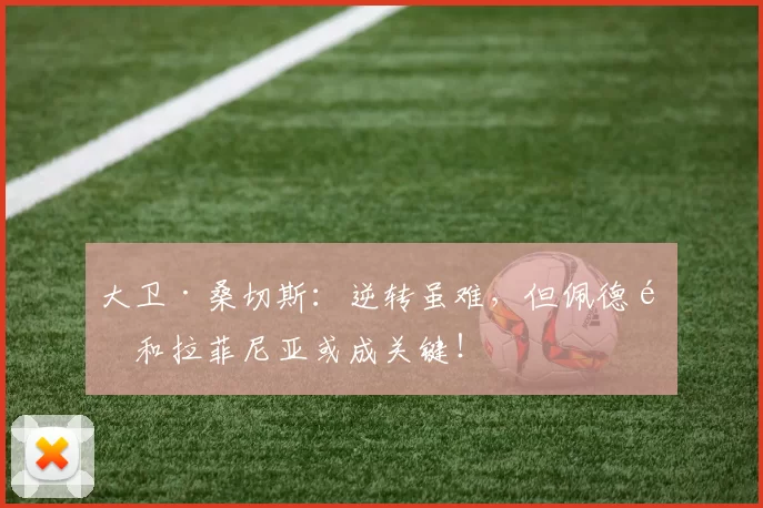 大卫·桑切斯：逆转虽难，但佩德里和拉菲尼亚或成关键！